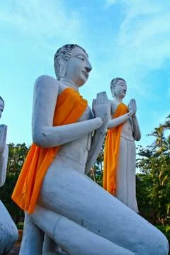 White buddha Stock Photos