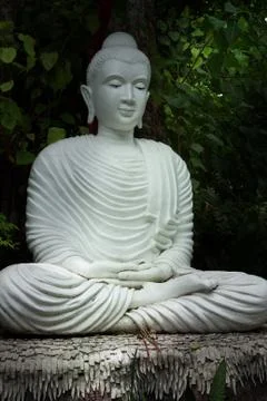 White buddha Stock Photos