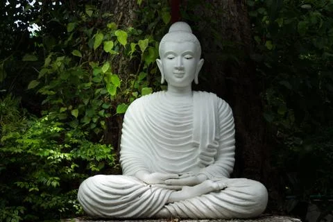 White buddha Stock Photos