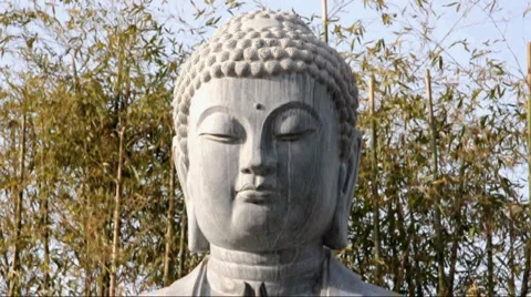 White Buddha statue in the bamboo forest  Stock Footage 886818
