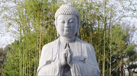 White Buddha statue in the bamboo forest  Stock Footage 907414