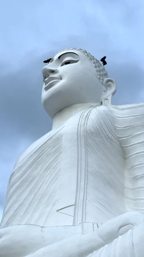 White Buddha Statue Beneath Ravens Soaring in the Sky Vídeo Stock 301238800
