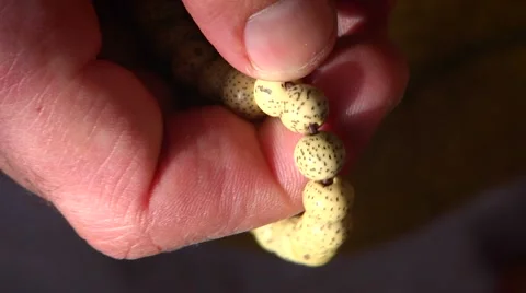 White buddhist beads Stock Footage 60043234