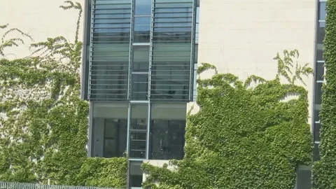 A white building with greenery on it Stock Footage 91927591