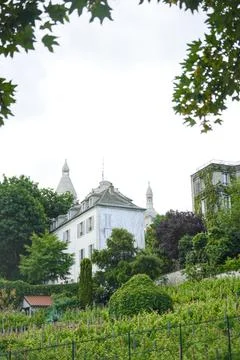 White building surrounded by lush greenery and garden in Paris hill area Stock Photos