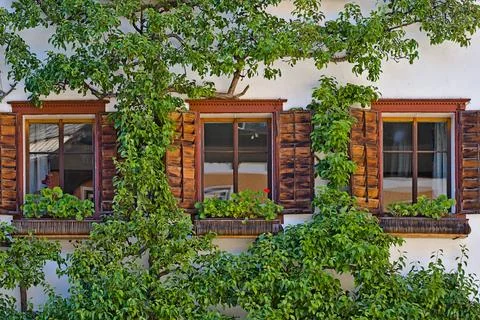 A white building with a tree behind its windows in a green landscape Stock Photos