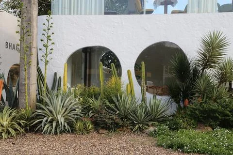 A white building with two large windows and cacti in front of it Stock Photos
