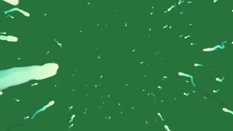 With white bunch of golf balls flowers blue spots lot water droplets drops co... Stock Footage 335978438