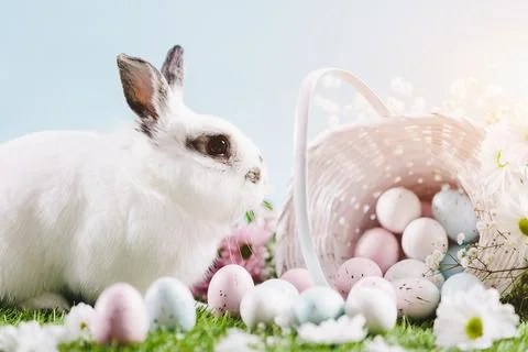 White bunny and Easter eggs and decorations Stock Photos