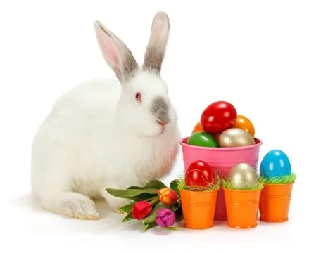 White bunny with easter eggs Stock Photos