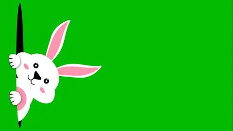 White bunny looking from black hole with big pink ear on green screen Stock Illustration
