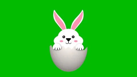 White bunny looking from cracked egg on green screen. Stock Illustration