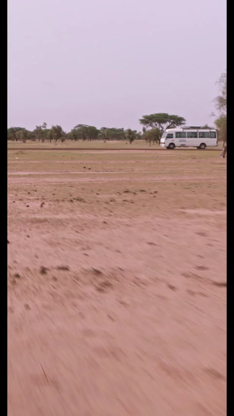 White Bus Driving Desert Road Tracking - Vertical (9:16) Video stock 322551237
