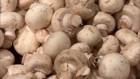 White Button Champignons Stacked at Grocery Stock Footage 340340758