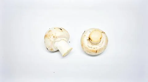 White Button Mushroom Isolated on White Background, Common Edible Fungi Rep.. Stock Photos