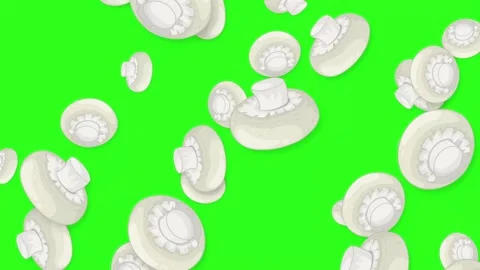 White Button Mushrooms Falling on a Bright Green Screen Background Stock Footage 343830778