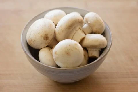 White button mushrooms Stock Photos