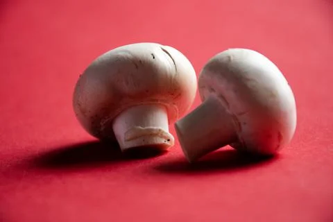 White Button Mushrooms Stock Photos