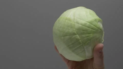 White cabbage in hand on a gray background. 스톡 동영상 265867764