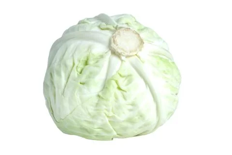 White cabbage isolated on white background. Vegetables for salad. Stock Photos