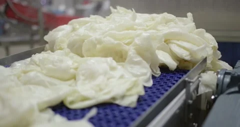 White cabbage leaves lying on a blue conveyor belt inside a food processing Vídeo Stock 339967996