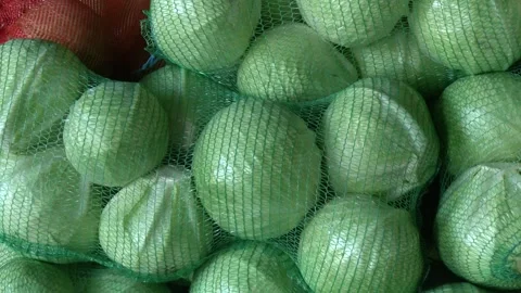 White cabbage lies in a mesh bag. Cabbage harvest. Video stock 330350286