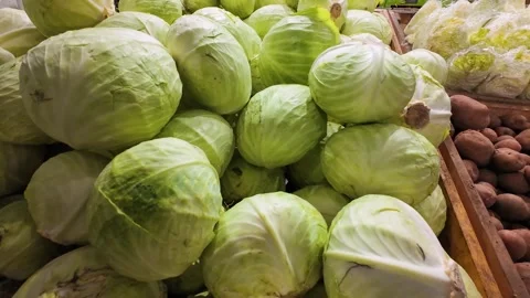 	White cabbage, napa cabbage, potatoes and carrots in wooden crates. Stock Footage 314948406