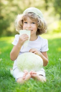 White cabbage Stock Photos