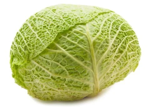 White Cabbage Stock Photos