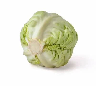 White cabbage Stock Photos