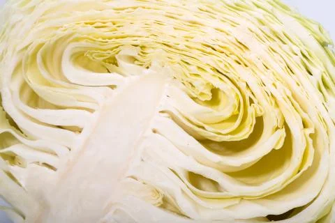 White  cabbage Stock Photos