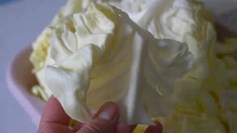 White cabbage pieces suitable for making a bowl of stuffed cabbage. 스톡 동영상 256582283