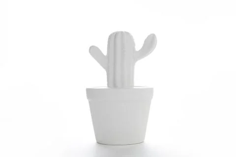 White cactus Stock Photos