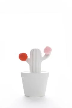 White cactus Stock Photos