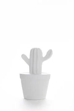 White cactus Stock Photos