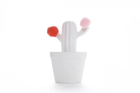 White cactus Stock Photos