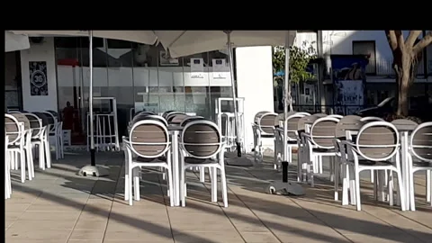 White Cafe 動画素材 163896002