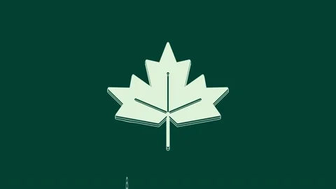 White Canadian maple leaf icon isolated on green background. Canada symbol maple Stock Footage 236026806