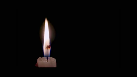 White candle light burn isolated in black. 4k Stock Footage 237065665
