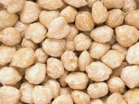 White candlenuts Stock Photos