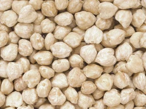 White candlenuts Stock Photos