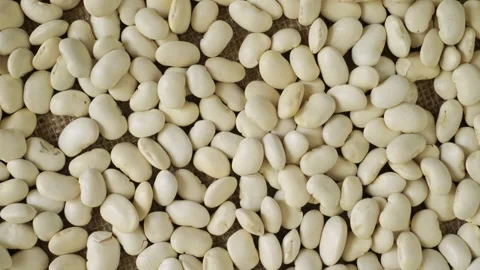 White cannellini beans rotating slowly Stock Footage 341822362