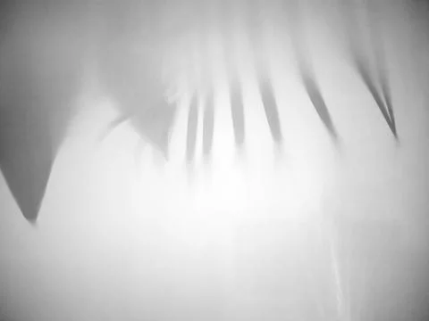 White canvas on the front. Reflection of palm leaves,hanging from above. Stock Photos