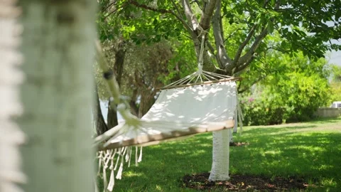 White canvas hammock between birch trees in suburban garden, daytime Stock Footage 327013614