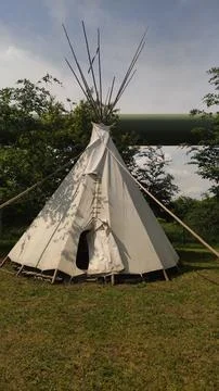 White canvas teepee standing in the forest on a sunny day Stock Photos