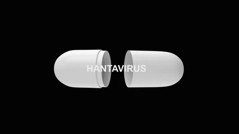 The white capsule opens to reveal the word HANTAVIRUS in 3D animation. Stock Footage 334731555
