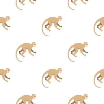 White capuchin pattern seamless Illustrazione stock
