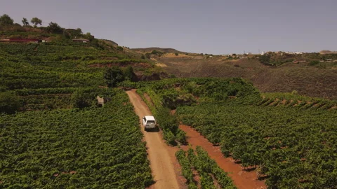White car driving through Gran Canaria vineyards 库存影片 313452533