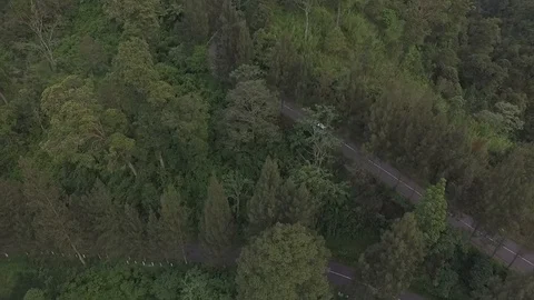 White car mountain forrest Stock Footage 129796061