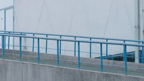 White car passing Stockbeeldmateriaal 88692952